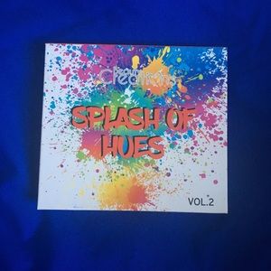 Splash of Hues Palette